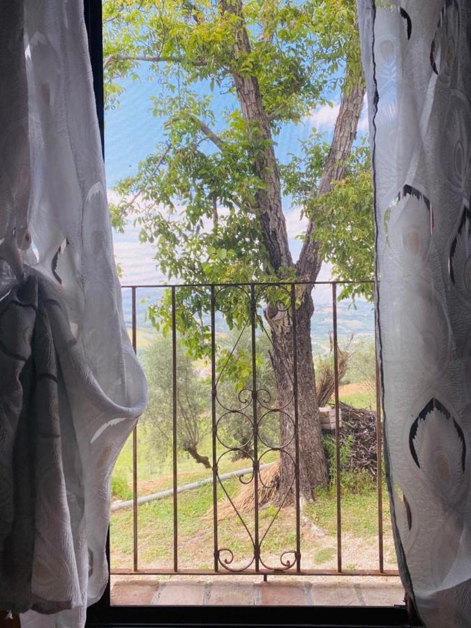 Basciano Agriturismo Flara מראה חיצוני תמונה